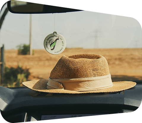 CADASTRO AMBIENTAL RURAL (CAR)